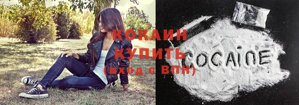 дживик Абинск