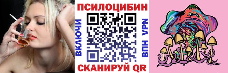 где найти наркотики  Дальнереченск  Псилоцибиновые грибы Cubensis 