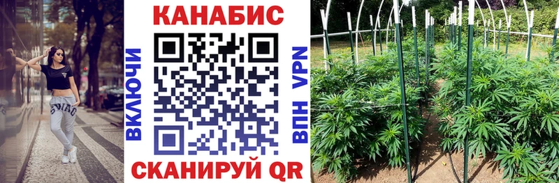 Марихуана сатива Дальнереченск